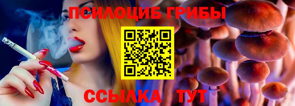 Галлюциногенные грибы MAGIC MUSHROOMS  Вход с VPN  Владикавказ 